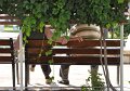 26 e_DSC_0300